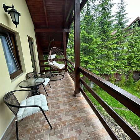 Ollie'S Mountain Chalet Busteni Exterior photo
