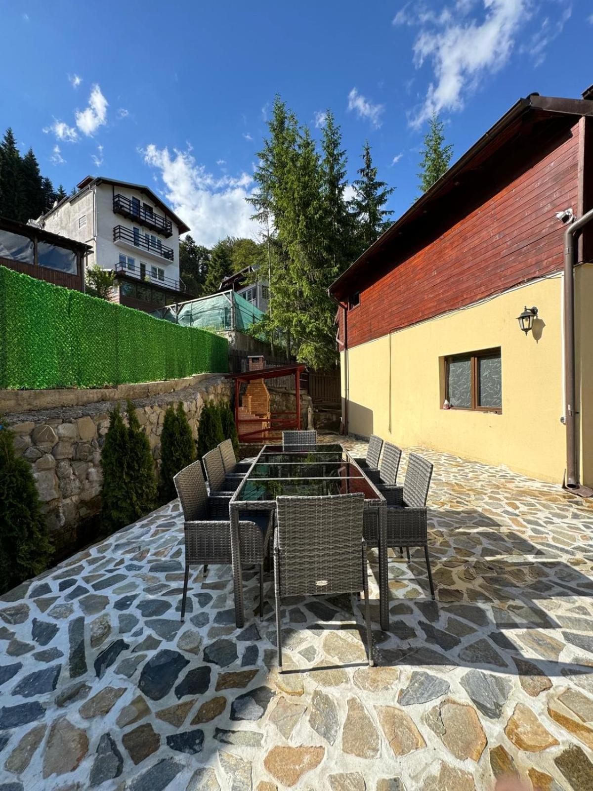 Ollie'S Mountain Chalet Busteni Exterior photo