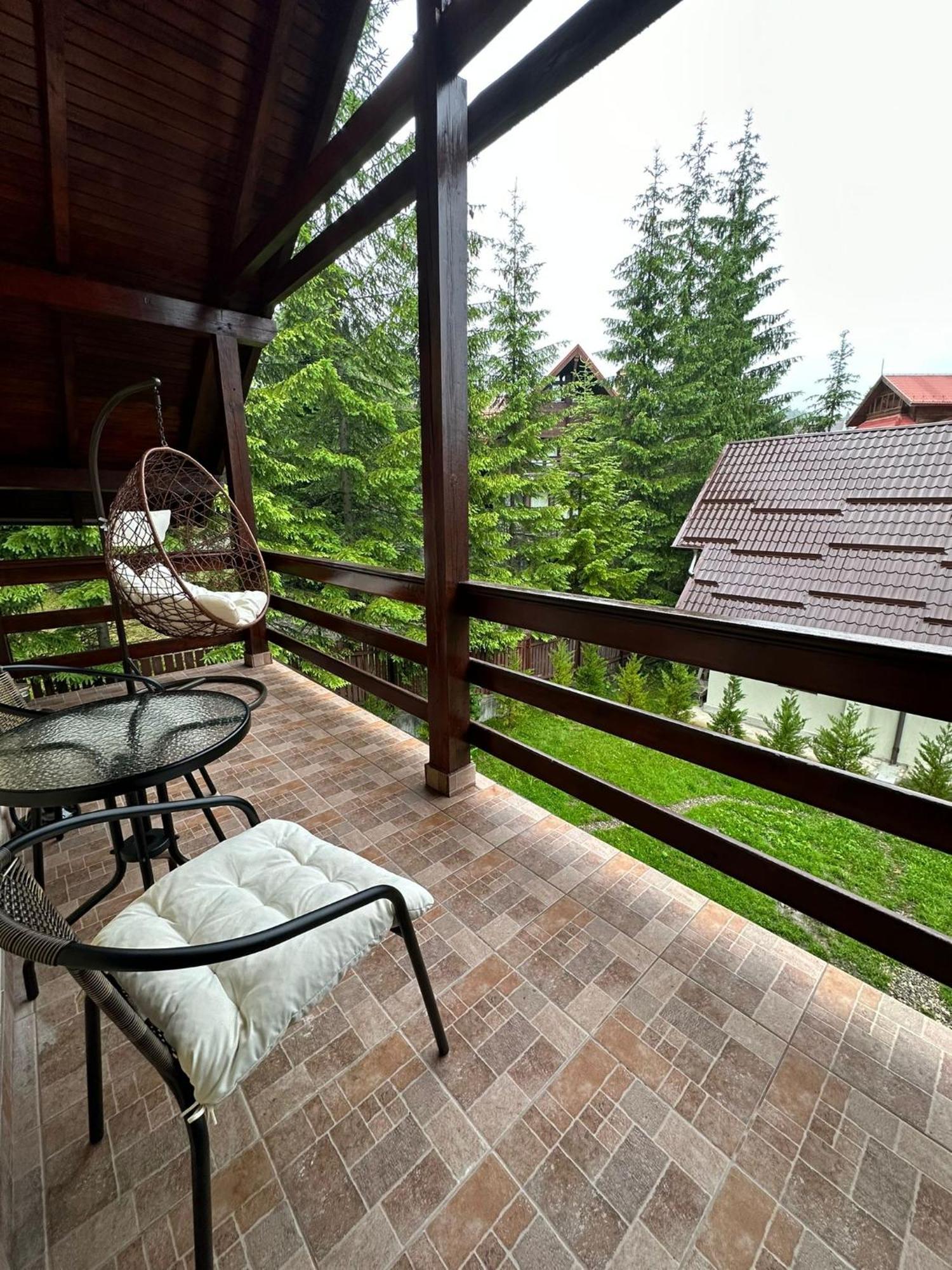 Ollie'S Mountain Chalet Busteni Exterior photo